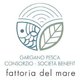 CGP SB Logo