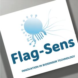 Flag Sens 2