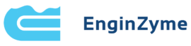 Engin Zyme Logo png