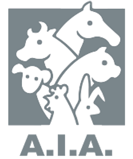 Aia