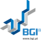 BGI S A Logo