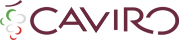 CAVIRO Logo 2