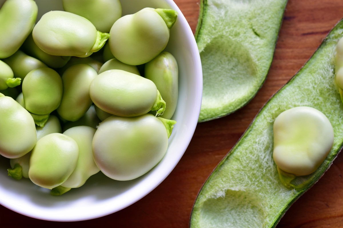 Favuleux: Developing Fava bean as a sustainable source of high quality protein for food, through optimized genetics, farming & processing