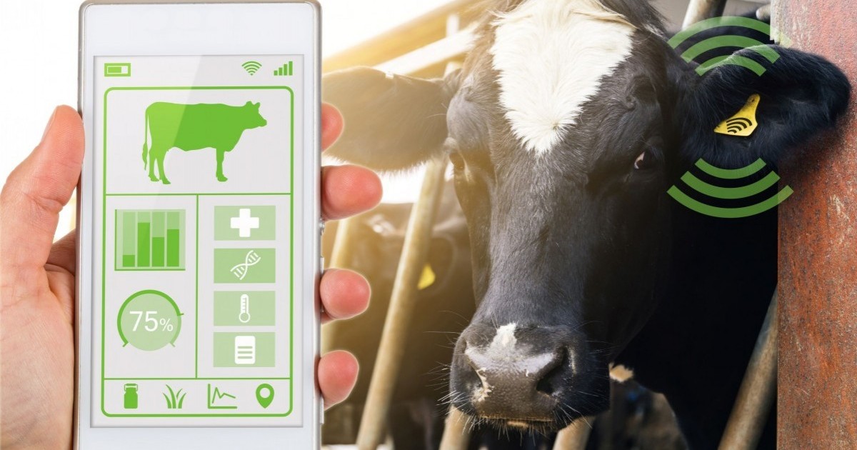 Big data and advanced analytics for sustainable management of the dairy