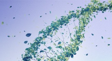 The ROOT: rebooting the food system