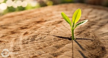 EIT Food Call for Proposals 2022