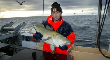 TRACOD – Model-based Tracking of Cod and Other Fish Value Chain for Consumer Confidence Boosting and Food Engineers Education