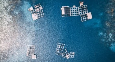 MIDSA - MIcroencapsulated Diets for Sustainable Aquaculture