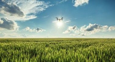 Digital Agriculture for Sustainable Food Systems