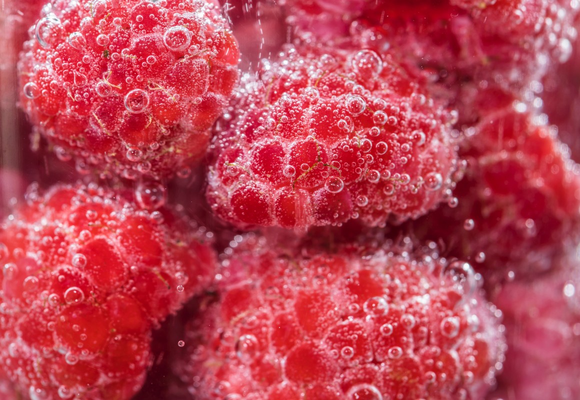 ISP - Isolation and Application of Plant-based Ice Structuring Proteins in Frozen Foods