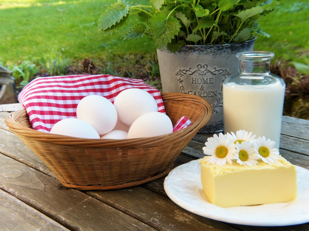 Dairy products with reduced saturated fatty acids