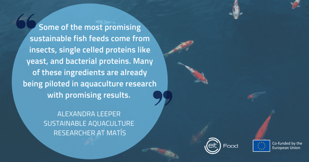 Aquaculture feed for a sustainable future