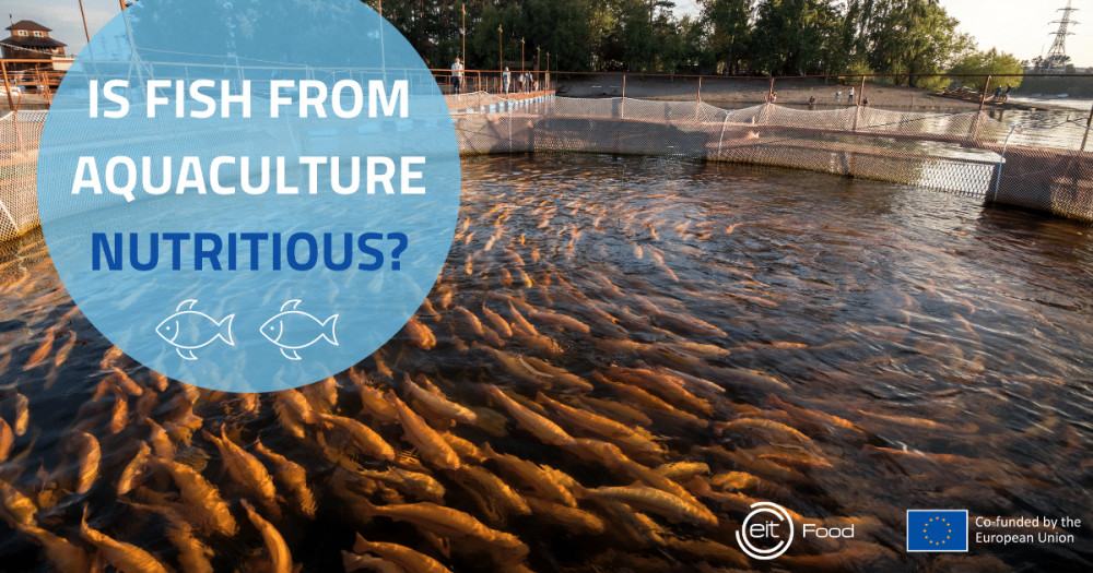 Is farmed fish from aquaculture a healthy source of protein?