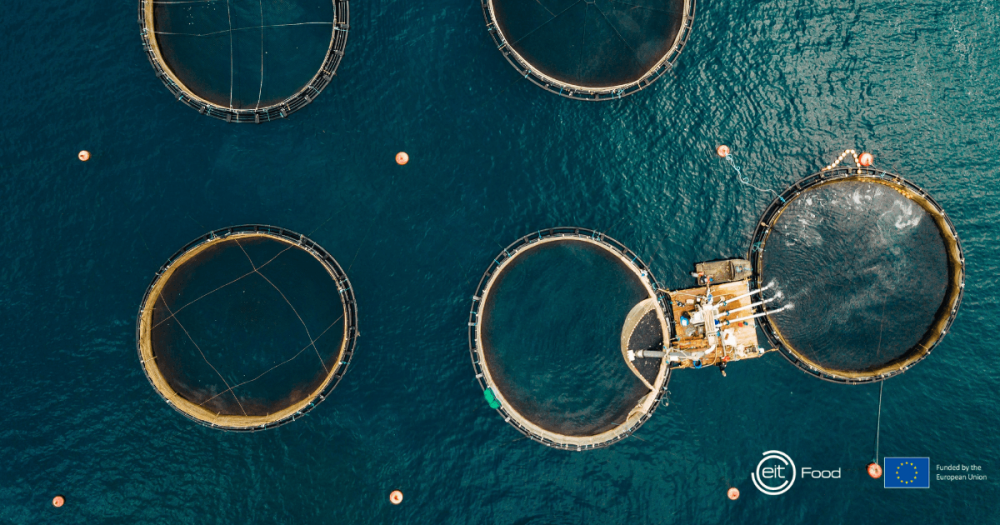 EIT Food announces new projects to accelerate innovation in sustainable aquaculture