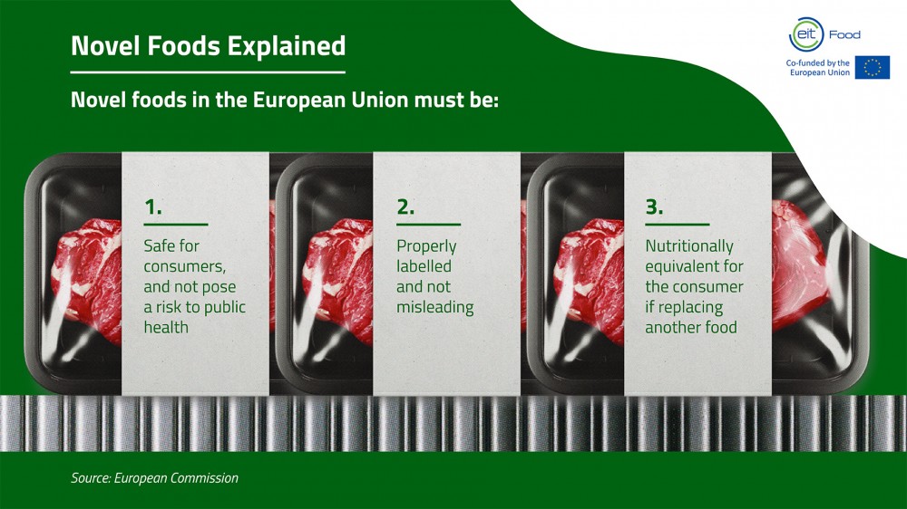 Novel foods infographic 