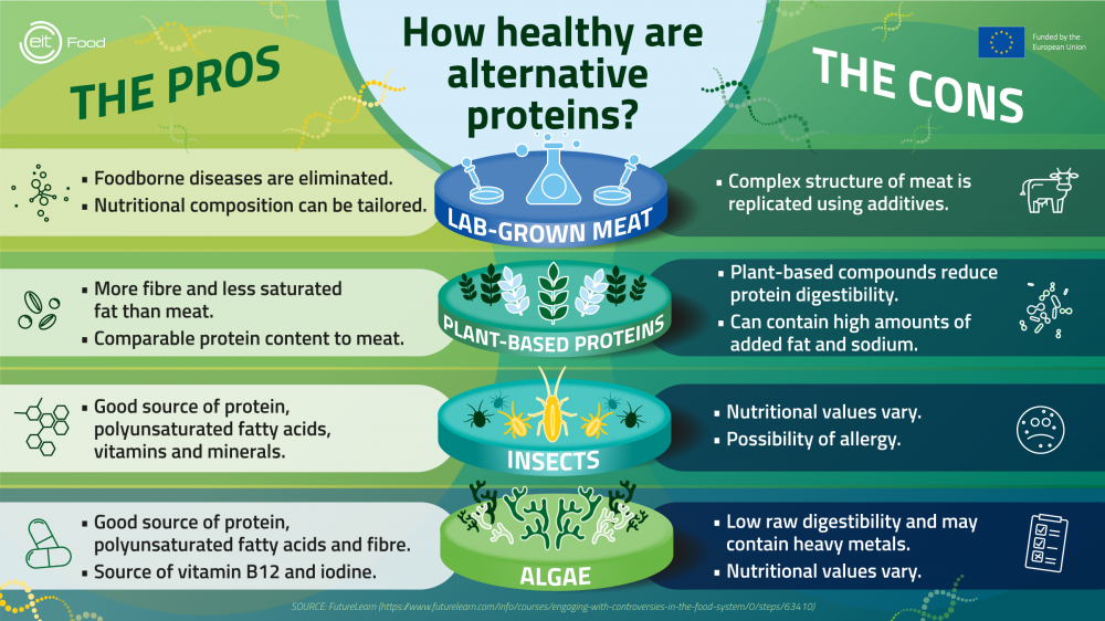 Infographic explaining the health pros and cons of alternative proteins 