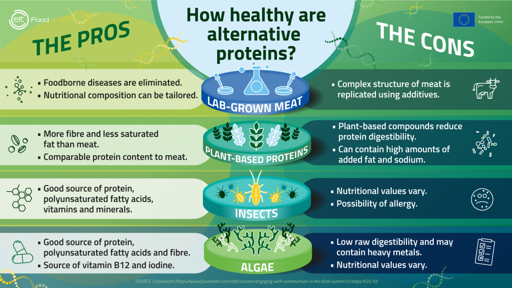 Infographic explaining the health pros and cons of alternative proteins