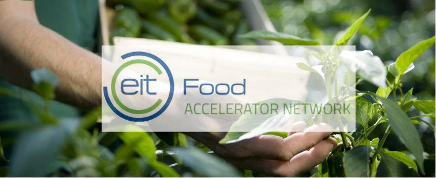 EIT Food Accelerator Network Welcomes Its Fourth Cohort of Impactful Agrifood Startups
