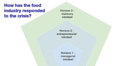 Illustration Three Horizons Framework mindsets: managerial, entrepreneurial and visionary