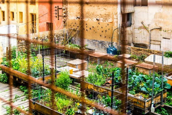 Sustainably feeding the world in 2050: Are efficiency and equity the answer? Sustainably feeding the world in 2050: Are efficiency and equity the answer?