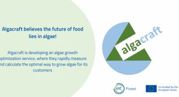 Algacraft - A Seedbed Incubator Case Study