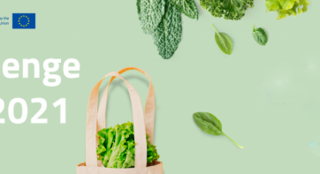 A new packaging produced by lettuce by-products wins the Challenge Lab 2021
