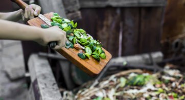 How can food waste be reduced? How can food waste be reduced?