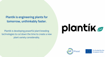 Plantik - A Seedbed Incubator Case Study