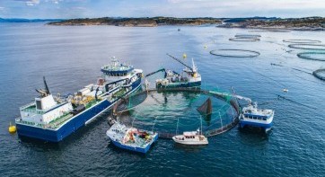 EIT Food to launch open call “Sustainable Aquaculture” EIT Food to launch open call “Sustainable Aquaculture”