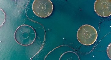 EIT Food celebrates sustainable aquaculture innovations to address UN SDGs at Showcase event  