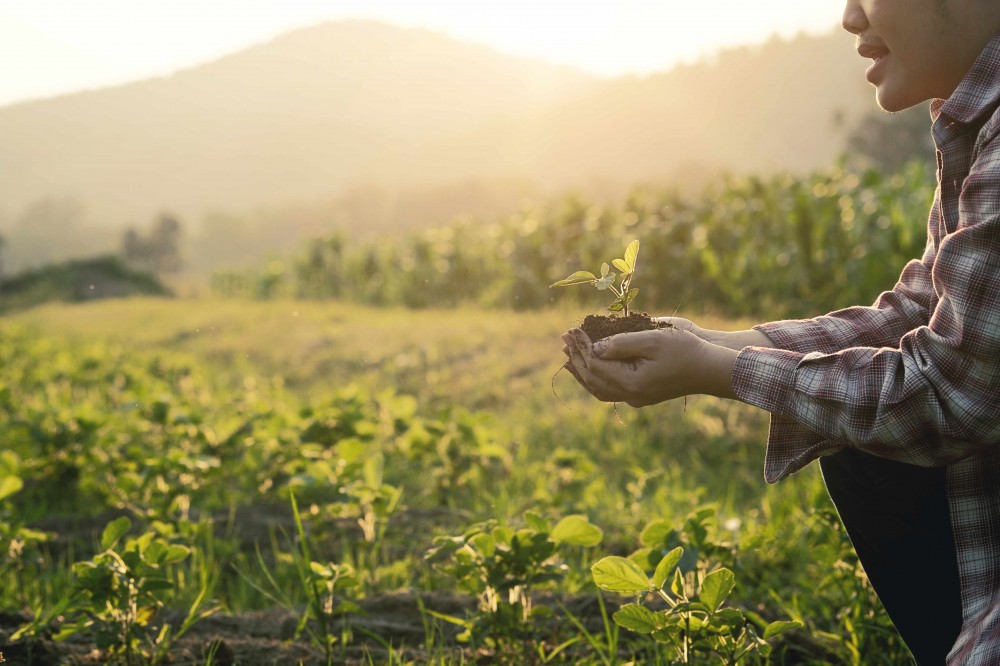 sikkerhedsstillelse Vælge Boghandel Can regenerative agriculture replace conventional farming? | EIT Food