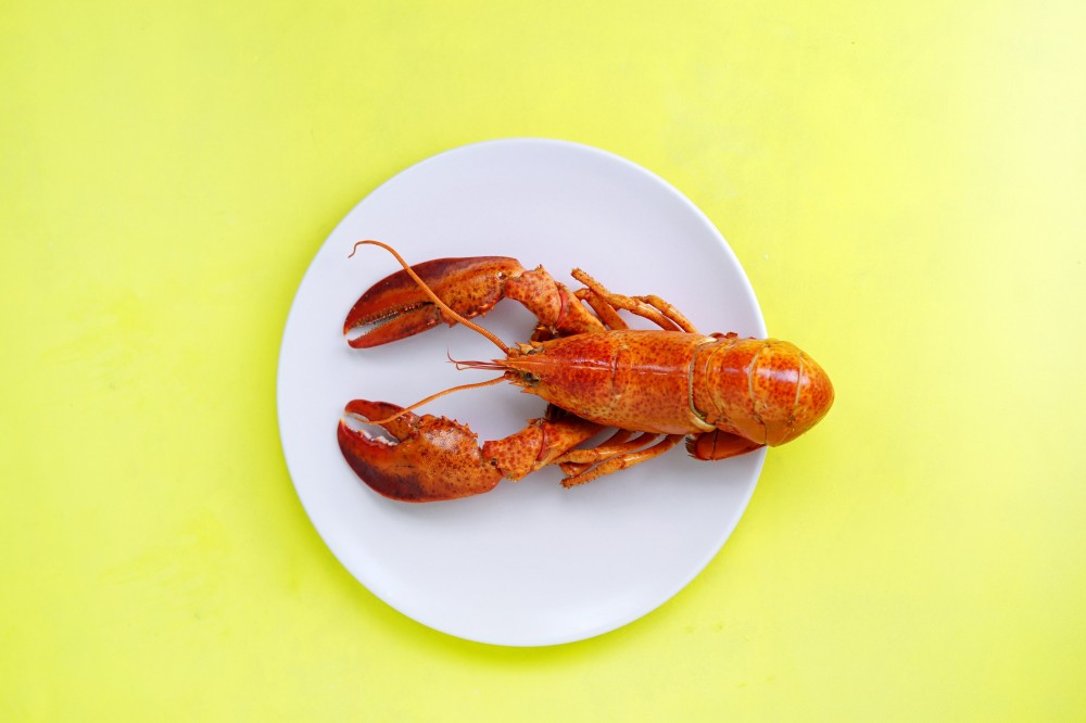 Would you help us obtain a better utilization of the seafood side-streems?