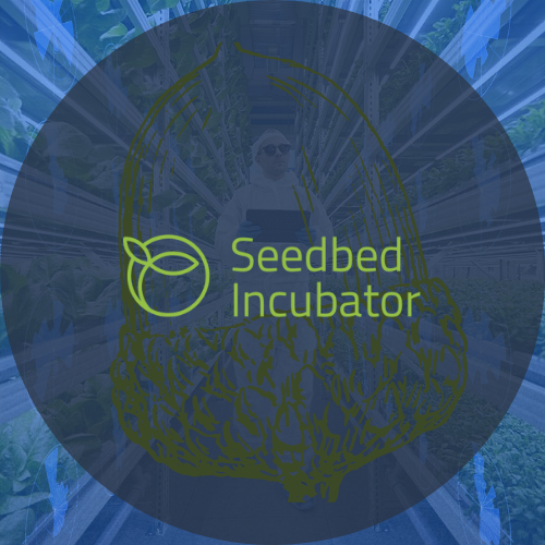 LAUNCH - Seedbed Incubator