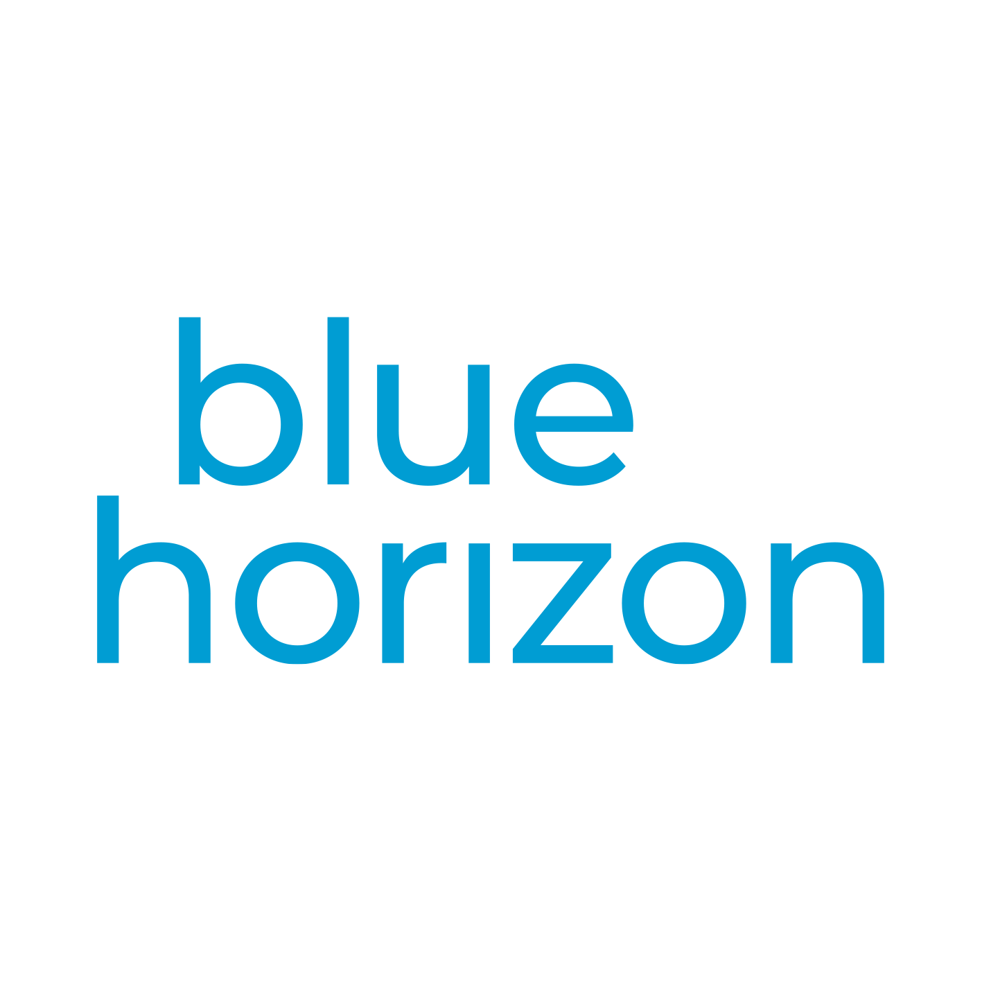 Blue Horizons Ventures