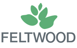 Feltwood Logotipo 300x187 Fondo Transparente