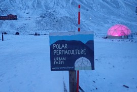 Permaculture in Svalbard: ethical arctic farming
