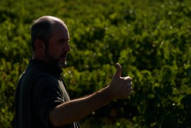 The 'Rebel' with the regenerative vineyard