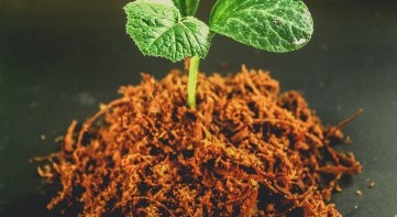 From waste to worth: use of plant residues