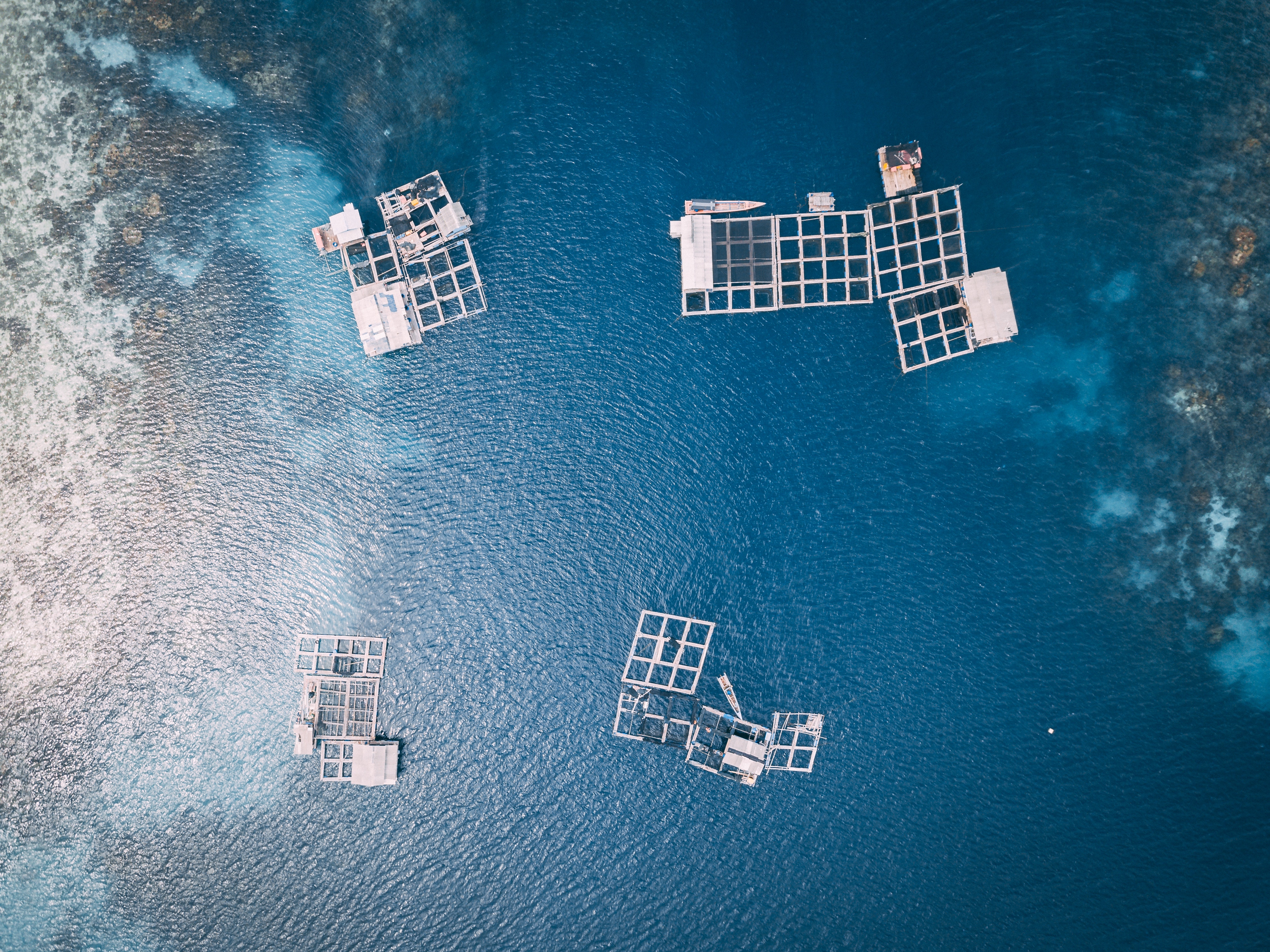 MIDSA - MIcroencapsulated Diets for Sustainable Aquaculture